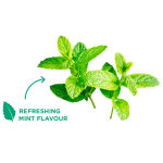 Easy Flossers GUM Sunstar