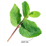 ecodenta whitening mondspoeling alcoholvrij online kopen