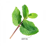 Ecodenta zwarte tandpasta voor witte tanden online bestellen