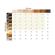 braun-silk-expert-pro-5-laserontharing-wit-goud